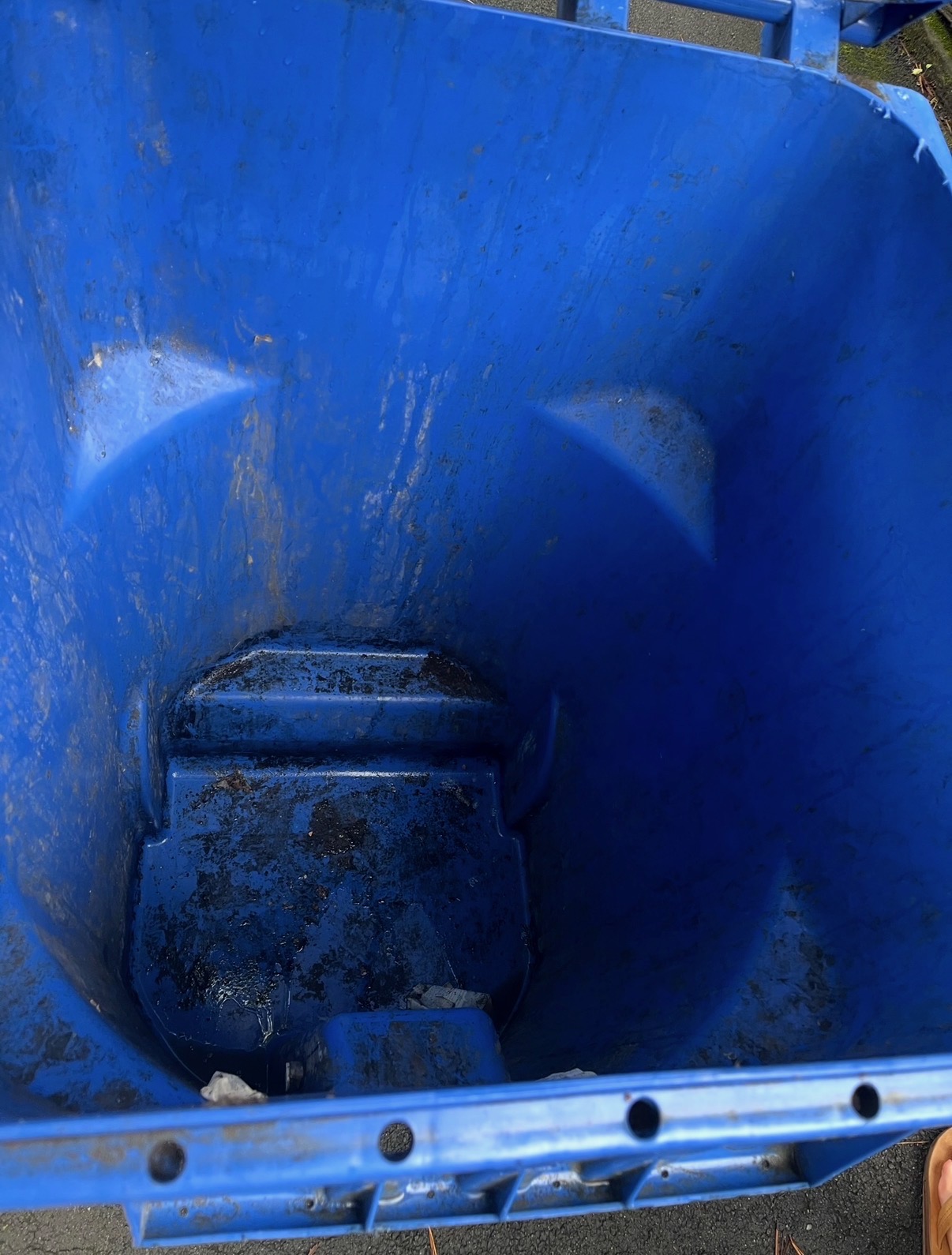 Recycling bin before refresh