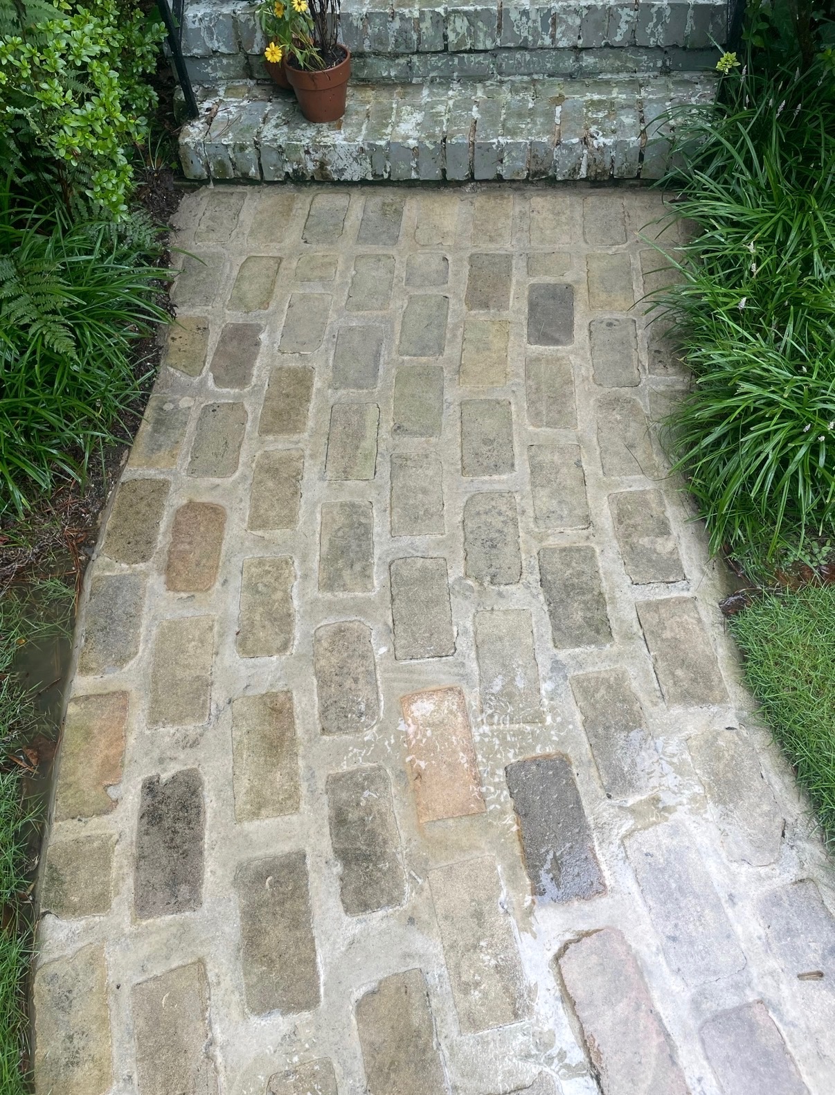 Sidewalk after cleaning