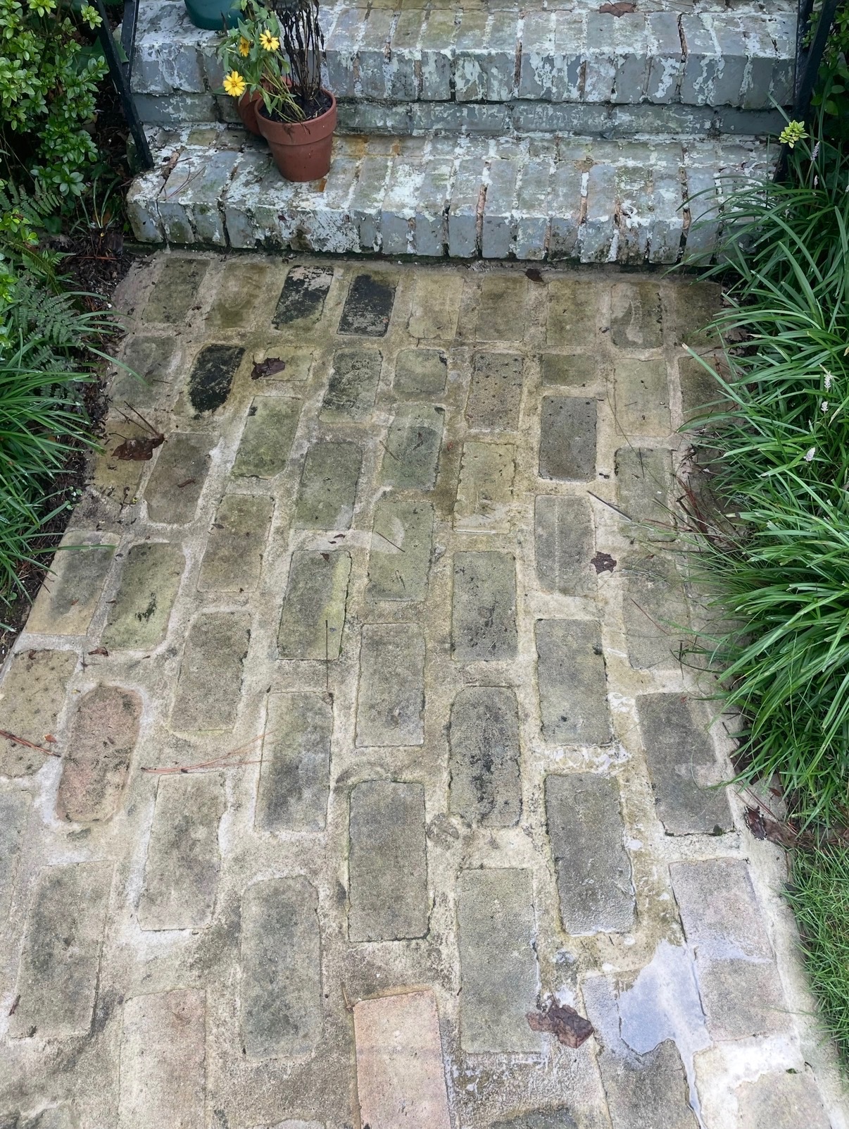 Sidewalk before cleaning